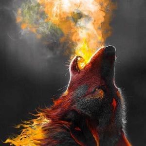 Meet your Posher, Roe